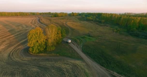 UHD 4K flygvy. Mid-air flygning över gul landsbygd och grusväg — Stockvideo