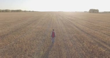 Bir büyük buğday tarlada yürüyen genç adam turist üzerinde düşük uçuş