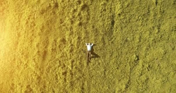 Vuelo en movimiento vertical sobre un hombre de negocios acostado en un prado verde fresco. Vista superior sobre el hombre relajante . — Vídeos de Stock