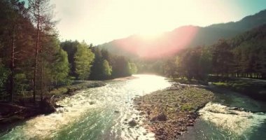 4 k Uhd havadan görünümü. Düşük uçuş üzerinde taze soğuk dağ nehir kıyısında güneşli yaz sabahı.