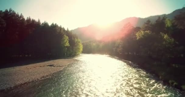 Vue aérienne 4k UHD. Vol bas au-dessus d'une rivière de montagne fraîche et froide au matin ensoleillé d'été . — Video