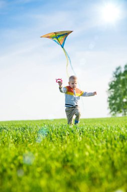 Genç çocuk onun uçurtma yeşil alan ile oynarken.