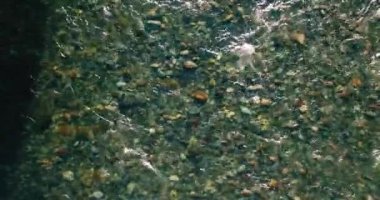 Güneşli yaz sabahında temiz ve taze bir dağ nehri üzerinde uçuşun ortasındayız. Üst görünüm ve yatay hareket