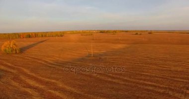 UHD 4k havadan görünümü. Havada uçak sarı kırsal alanın üzerinde