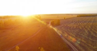 UHD 4K hava görüntüsü. Sarı kırsal alan ve toprak yol üzerinde orta-uçuş