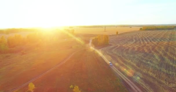 UHD 4K légi felvétel. Középlevegős repülés sárga vidéki területen és földúton — Stock videók