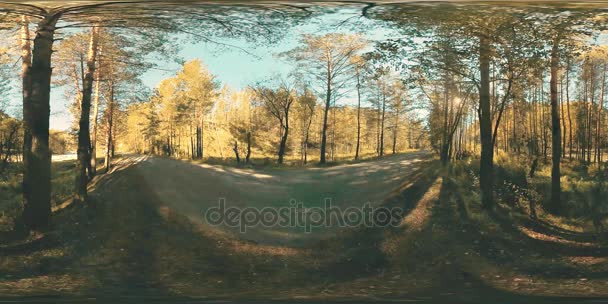 UHD 4K 360 VR Réalité virtuelle d'un beau paysage de forêt de montagne ensoleillé 
