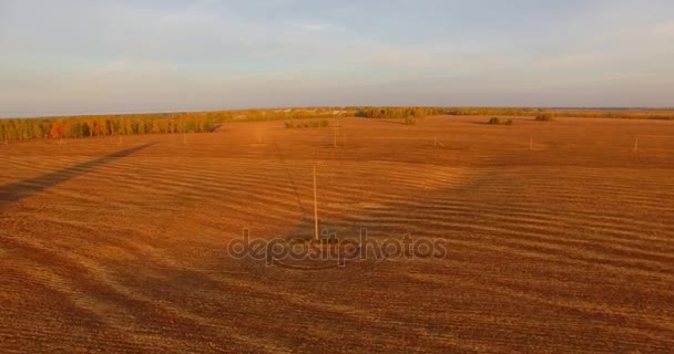 UHD 4K vista aérea. Vuelo en el aire sobre el campo rural amarillo — Vídeos de Stock