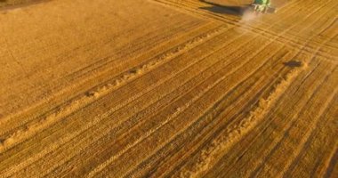 UHD 4k havadan görünümü. Düşük uçuş birleştirmek hasat toplar üzerinde sarı kırsal alan, buğday.