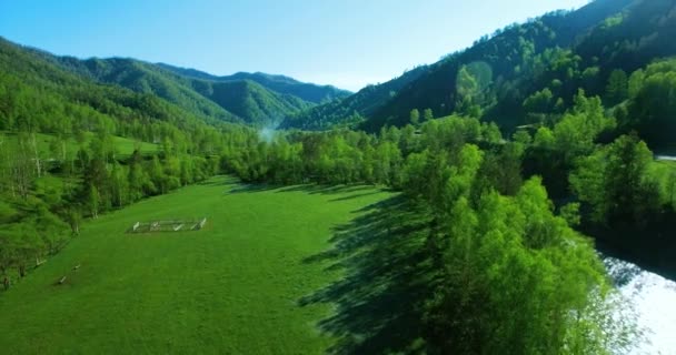 Mid-air flight over fresh mountain river and meadow at sunny summer morning. Rural dirt road below. — Stock Video