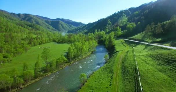 신선한 산 강과 풀밭에서 화창한 여름 아침에 공중 비행. 시골 비포장도로 아래. — 비디오