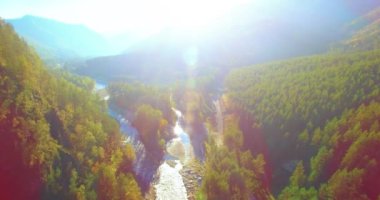Güneşli yaz sabahında taze dağ nehri ve çayır üzerinde uçuşun ortasında. Aşağıdaki kırsal toprak yol.