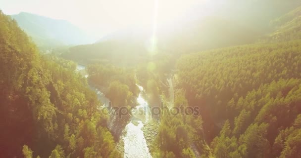 Vôo a meio do ar sobre o rio e o prado frescos da montanha na manhã ensolarada do verão. Estrada de terra rural abaixo. — Vídeo de Stock