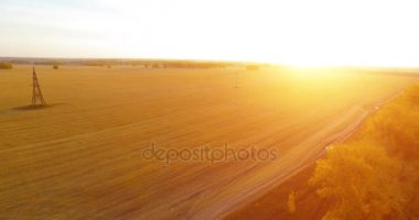 UHD 4K hava görüntüsü. Sarı kırsal alan ve toprak yol üzerinde orta-uçuş
