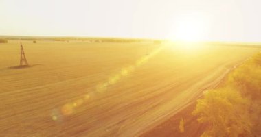 UHD 4K hava görüntüsü. Sarı kırsal alan ve toprak yol üzerinde orta-uçuş