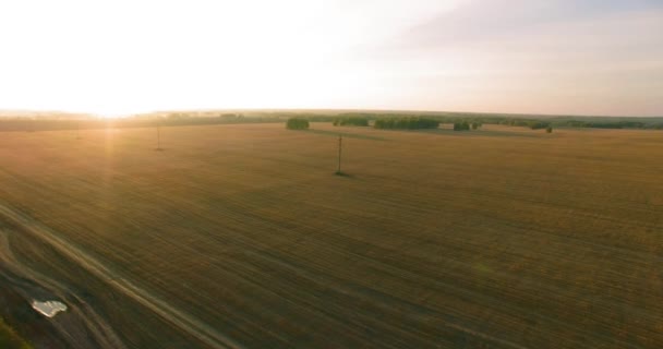 UHD 4K vista aérea. Vuelo en el aire sobre campo rural de trigo amarillo — Vídeo de stock