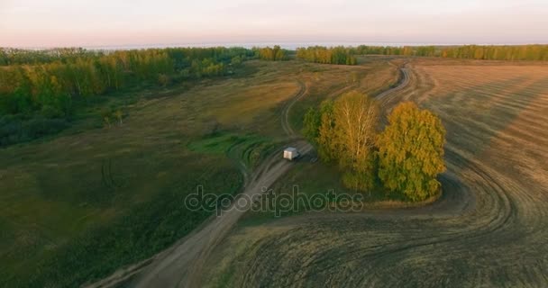 UHD 4K vue aérienne. Vol en vol au-dessus d'un champ rural jaune et d'un chemin de terre — Video