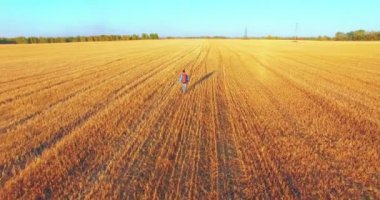Düşük uçuş bir büyük buğday tarlada yürüyen genç adam turist üzerinde. Eller yukarı, kazanan, mutlu ve özgürlük kavramı.