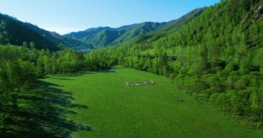UHD 4k havadan görünümü. Düşük uçuş taze soğuk dağ nehir, çayır ve yola güneşli yaz sabahı.