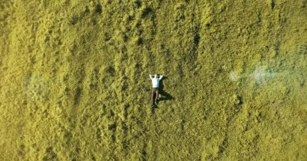 Vertical motion flight over businessman lying on fresh green meadow. Top view on relaxing man. — Stock Video