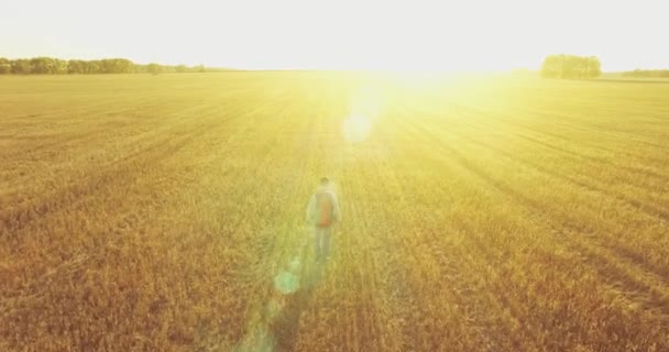 Низький політ над молодим чоловіком турист прогулюється по величезному пшеничному полю — стокове відео