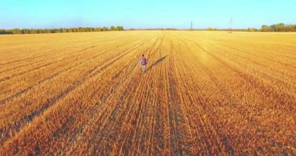 Alacsony repülés fiatalember turisztikai séta egy hatalmas búza mezőn át. Kezeket fel, győztes, boldog és a szabadság fogalma. — Stock videók