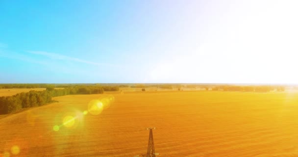 Vuelo de movimiento vertical cerca de la torre de alta tensión y líneas eléctricas en el campo verde y amarillo — Vídeos de Stock