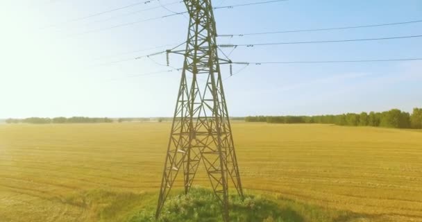 Vuelo de movimiento vertical cerca de la torre de alta tensión y líneas eléctricas en el campo verde y amarillo — Vídeos de Stock