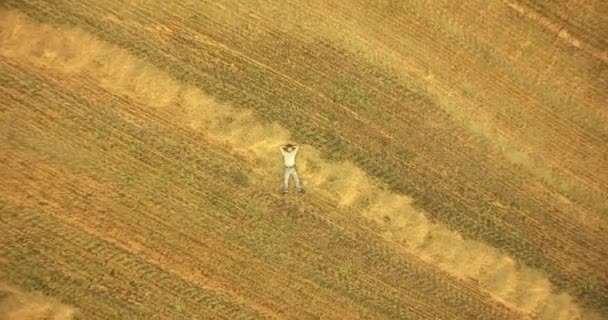 Flygfoto. Vertikal rörelse flygning över mannen liggande på gula vetefält — Stockvideo