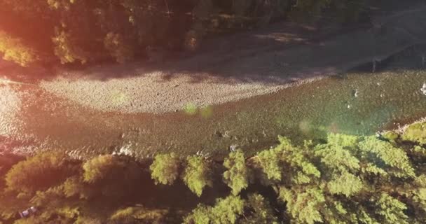 Vuelo en medio del aire sobre un río de montaña fresco y limpio en la soleada mañana de verano. Movimiento vertical — Vídeo de stock