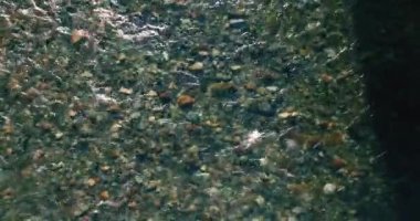 Güneşli yaz sabahında temiz ve taze bir dağ nehri üzerinde uçuşun ortasındayız. Üst görünüm ve yatay hareket