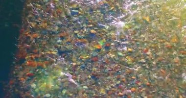 Güneşli yaz sabahında temiz ve taze bir dağ nehri üzerinde uçuşun ortasındayız. Üst görünüm ve yatay hareket