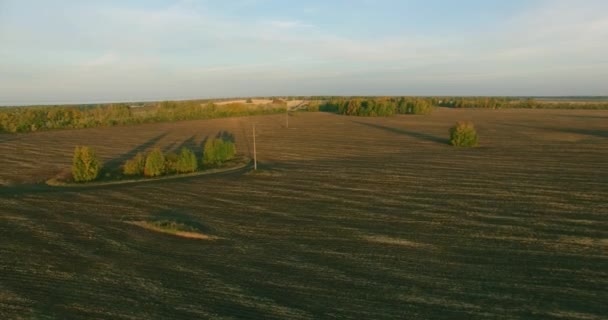 UHD 4k luchtfoto. Midden in de lucht vlucht over gele landelijke veld — Stockvideo