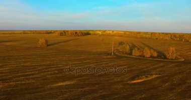 UHD 4k havadan görünümü. Havada uçak sarı kırsal alanın üzerinde
