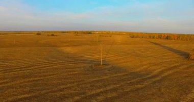 UHD 4k havadan görünümü. Havada uçak sarı kırsal alanın üzerinde