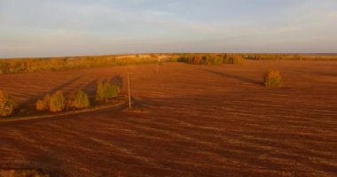 UHD 4k havadan görünümü. Havada uçak sarı kırsal alanın üzerinde