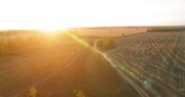 UHD 4K hava görüntüsü. Sarı kırsal alan ve toprak yol üzerinde orta-uçuş