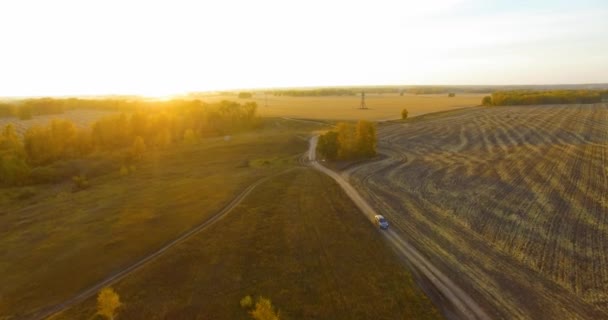 UHD 4K vista aérea. Vuelo en medio del aire sobre campo rural amarillo y camino de tierra — Vídeo de stock