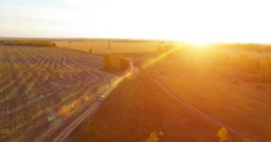 UHD 4K hava görüntüsü. Sarı kırsal alan ve toprak yol üzerinde orta-uçuş