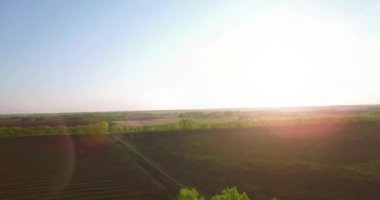 4 k hava manzara. Düşük uçuş yeşil ve sarı buğday kırsal alanın üzerine.