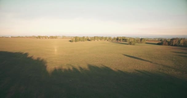 4 k luchtfoto. Lage vlucht over groene en gele rural tarweveld. — Stockvideo