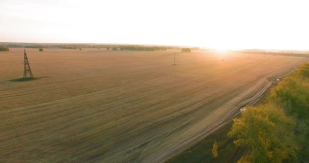 UHD 4K vista aérea. Vuelo en medio del aire sobre campo rural amarillo y camino de tierra — Vídeo de stock