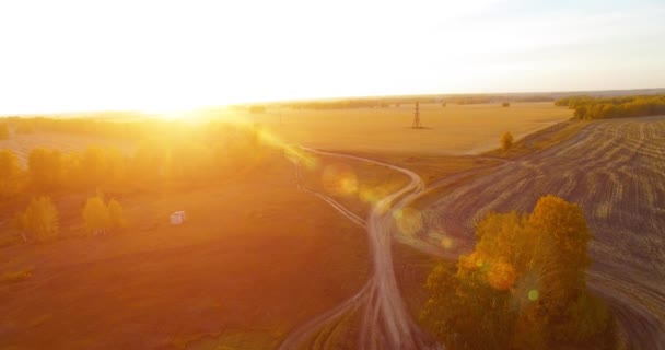 UHD 4K vista aérea. Vôo médio sobre campo rural amarelo e estrada de terra — Vídeo de Stock