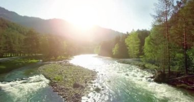 4 k Uhd havadan görünümü. Düşük uçuş üzerinde taze soğuk dağ nehir kıyısında güneşli yaz sabahı.