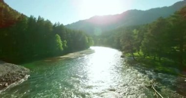 4 k Uhd havadan görünümü. Düşük uçuş üzerinde taze soğuk dağ nehir kıyısında güneşli yaz sabahı.