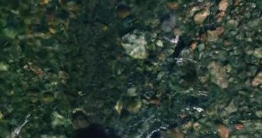 Güneşli yaz sabahında temiz ve taze bir dağ nehri üzerinde uçuşun ortasındayız. Üst görünüm ve yatay hareket