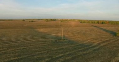 UHD 4k havadan görünümü. Havada uçak sarı kırsal alanın üzerinde