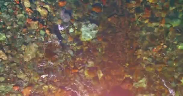 Vol en vol au-dessus d'une rivière de montagne fraîche et propre au matin ensoleillé d'été. Vue de dessus et mouvement horizontal — Video