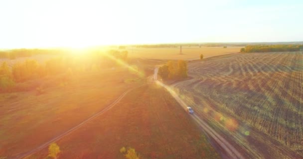 UHD 4K vista aérea. Vôo médio sobre campo rural amarelo e estrada de terra — Vídeo de Stock