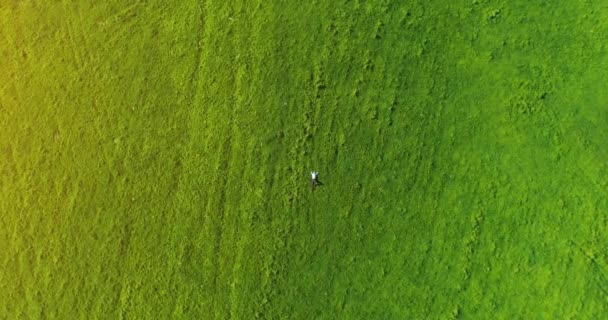 De vlucht van de verticale beweging over zakenman liggen op verse groene weide. Bovenaanzicht op ontspannen man. — Stockvideo